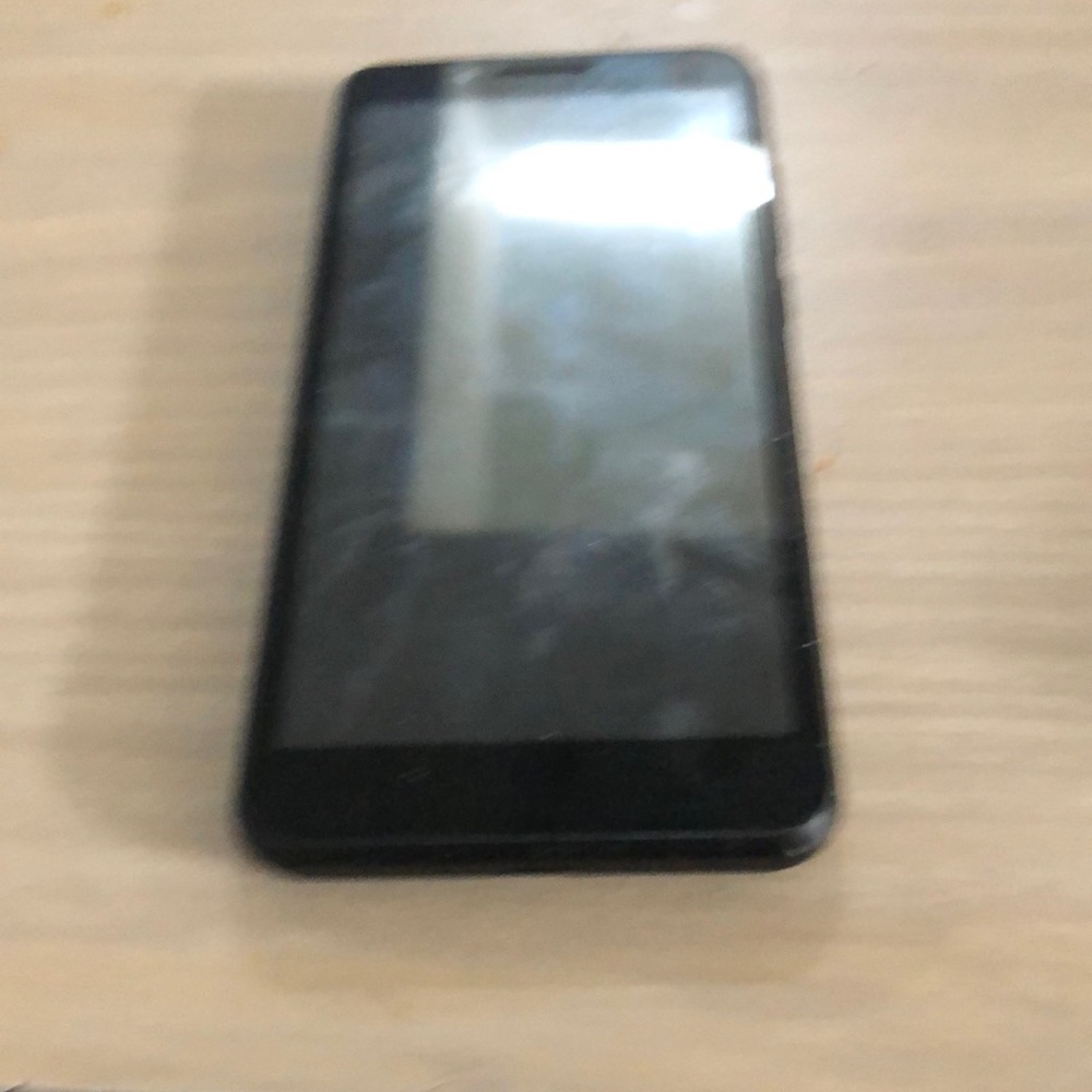 Government phone